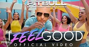 Pitbull Ft. Anthony Watts & DJWS - I Feel Good (Official Video)