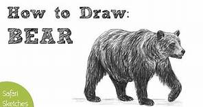 How to Draw a Bear | Realistic, Step by Step | (Grizzly Bear)