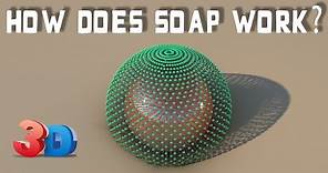How does soap work? (3D Animation)