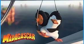 DreamWorks Madagascar | Mess With The Bull You're Gonna Get The Horns | Penguins of Madagascar Clip