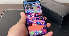 iPhone 11 Pro Home Button Enable / Trick!