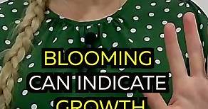 Four Meanings of The Word Blooming | Learn English Online