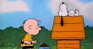 It's Magic Charlie Brown April 28, 1981 Opening and Closing