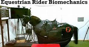Equestrian Rider Biomechanics | Dr Céleste Wilkins