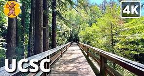 UCSC Campus Walking Tour | {4k} 🔊 Binaural Sound
