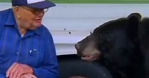 The Man Who Feeds Wild Black Bears | Bear Crime | BBC Studios