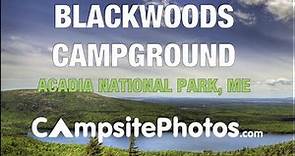 Blackwoods Campground, Acadia National Park, Maine