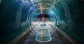 Travel Oregon Winter: Oregon Coast Aquarium in 360