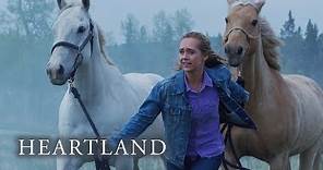 Episode 4 "The Eye of the Storm" First Look | Heartland: Season 13