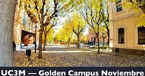 UC3M - Campus de Oro en Noviembre | Aspectos Bonitos de la Universidad Carlos III de Madrid Getafe