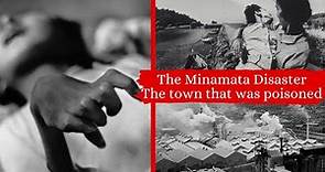 The Minamata Disaster | The town that was poisoned