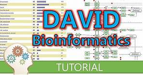 How to use DAVID for functional annotation of genes