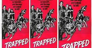 Trapped Beneath the Sea (Action/Adventure) ABC Movie of the Week - 1974