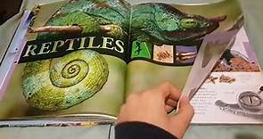 animals a children's encyclopedia