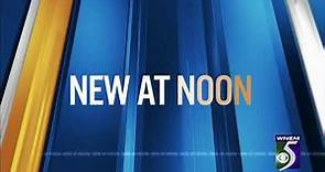 WNEM TV5 news at noon