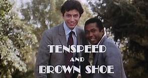 Classic TV Theme: Tenspeed and Brownshoe