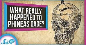 What Really Happened to Phineas Gage?