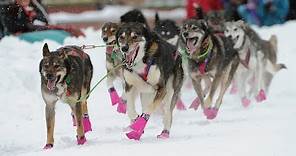 Iditarod 2018 begins with a celebration in Anchorage