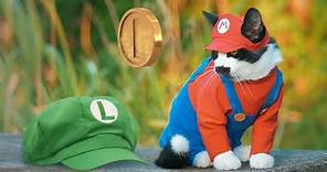 Super Mario CAT Bros!