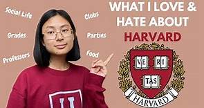 What is Life at HARVARD Really Like?