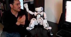 NAO Robot Akinator Game - The robot genius