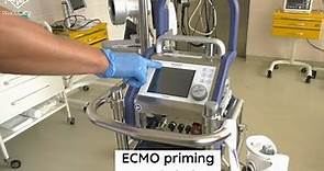 ECMO priming (Cardiohelp)