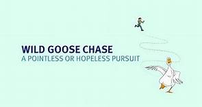 Wild goose chase meaning | Learn the best English idioms
