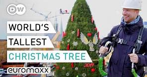 Climbing The World’s Tallest “Natural” Christmas Tree in Dortmund | Quirky Customs