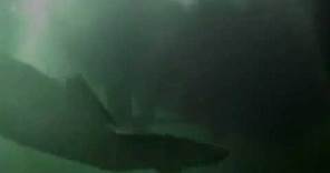 Kraken: Tentacles of the Deep (2006) - Trailer