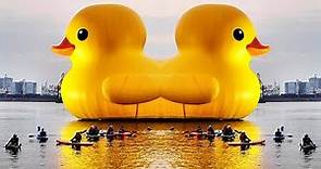 2024高雄燈會-夕陽下的黃色小鴨超萌+特效變裝秀！2024 Kaohsiung Lantern Festival-Yellow Duckling Drag Show​
