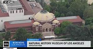 Natural History Museum of Los Angeles | Look At This