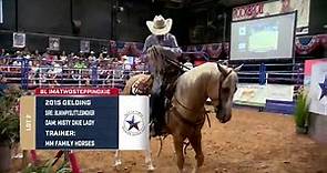 2021 Best of Texas Premier Horse Sale Via The Cowboy Channel