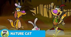 NATURE CAT | Down At The Swamp | PBS KIDS