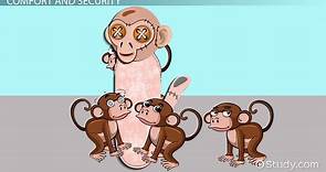 Harlow's Monkey Experiment & Attachment Theory