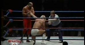 Hulk Hogan vs Jesse Ventura