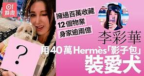 李彩華用40萬Hermès手袋裝愛犬 擁12個物業身家逾兩億｜01娛樂｜名牌手袋｜名牌