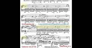F. Chopin: Preludio nº 4 Op. 28 en Mi menor. Análisis: tonalidad, frases y cadencias