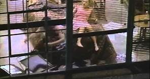Rear Window Trailer 1999
