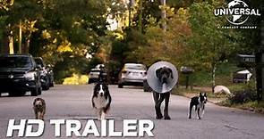 Hijos de perra – Trailer oficial SUB (Universal Pictures) HD