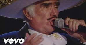 Vicente Fernández - El Último Beso (En Vivo)