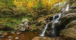 Parque Nacional Shenandoah, maravilla natural de Virginia