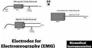 Electrodes for Electromyogram (EMG) | Biomedical Instrumentation and Measurement