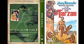 La fuga de Tarzán *1936*