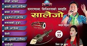 New Nepali Salaijo Hits Songs Collection Audio Jukebox Sagarmatha Digital