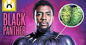The Heart Shaped Herb Explained | Black Panther