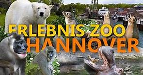 Erlebnis-Zoo Hannover - Nur Kulisse oder Spitzenklasse? | Zoo-Eindruck