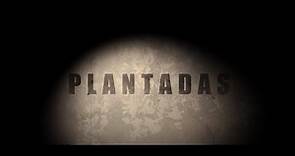PLANTADAS Official Trailer