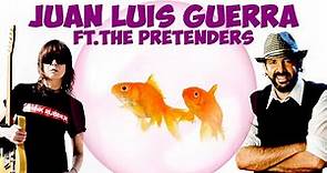 "Quisiera ser un pez" versión New Wave! Juan Luis Guerra ft. The Pretenders