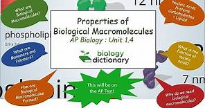 Properties of Biological Macromolecules | AP Biology 1.4