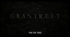 The Fir Tree 2011